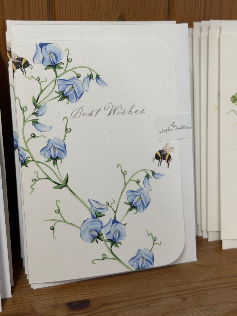 Watercolour cards