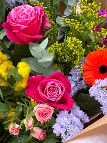 Lavish Vibrant Valley