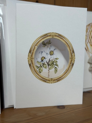 Watercolour cards